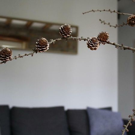 Eguzkilorea Hondarribia Kültér fotó